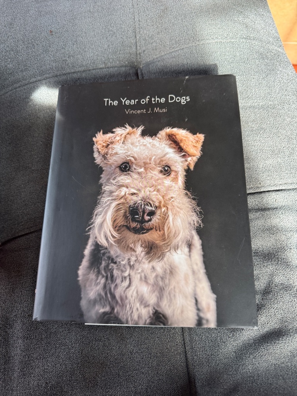 The Year of the Dogs by - Vincent J. Musi